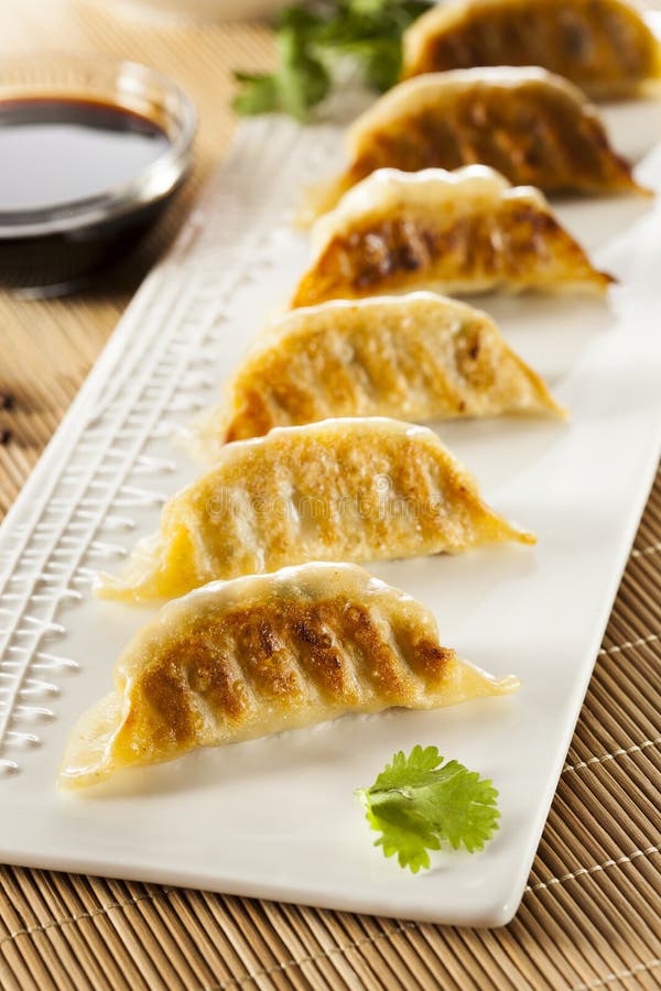 Homemade Asian Vegeterian Potstickers royalty free stock photo Homemade Asian Vegeterian Potstickers royalty free stock photo