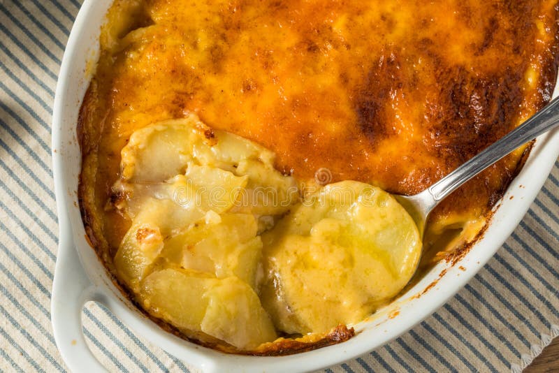 Homemade Cheesy Scalloped Potatoes Stock Photo - Image of cooking