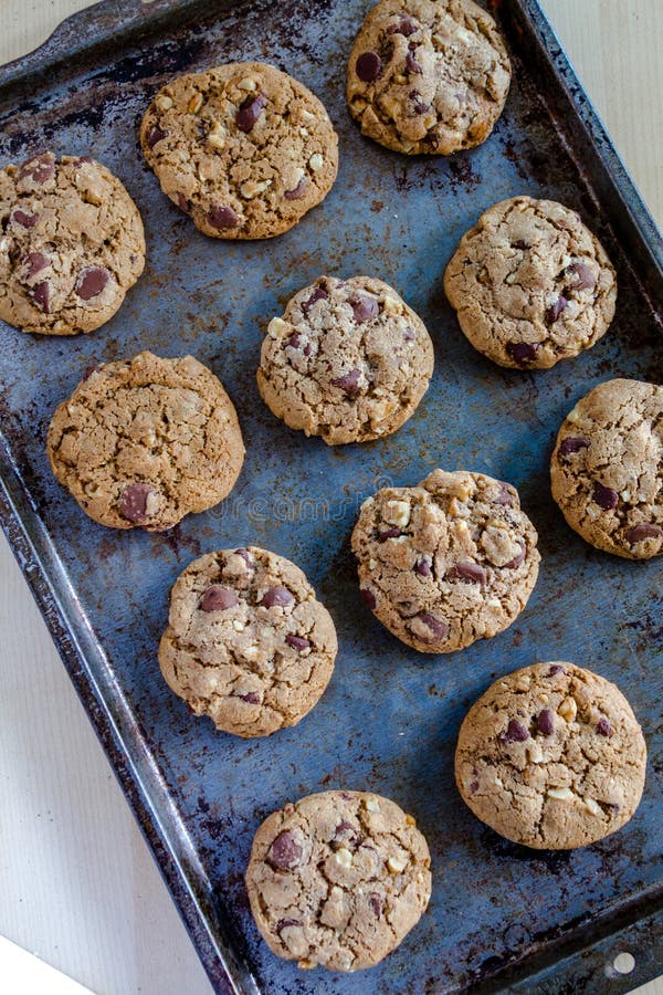 Homemade Chocolate Chip Cookies with Walnuts Stock Image Image of