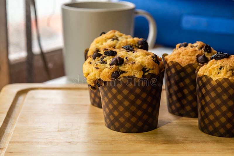 Homemade Chocolate Chip and Raisin Muffins Stock Photo Image of