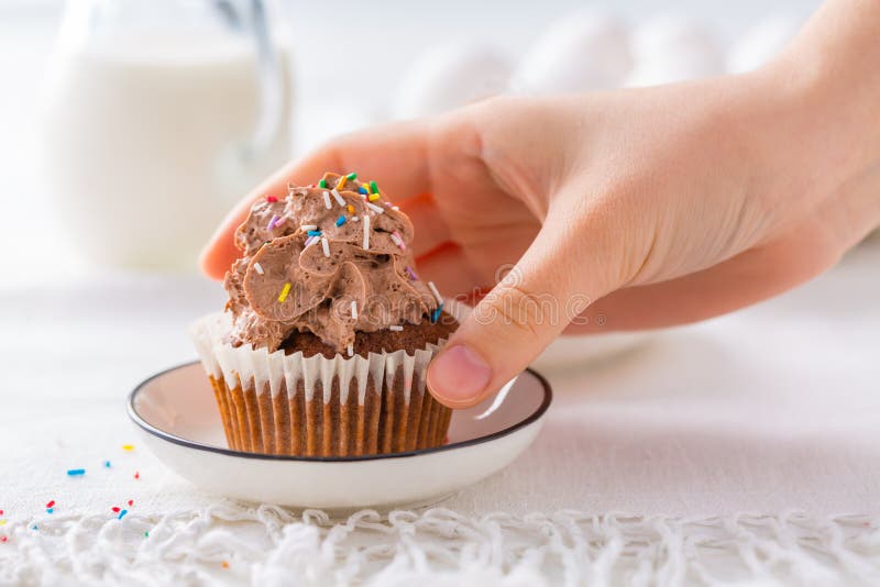Homemade Chocolate Cupcakes with Chocolate Whipping Cream Stock Photo