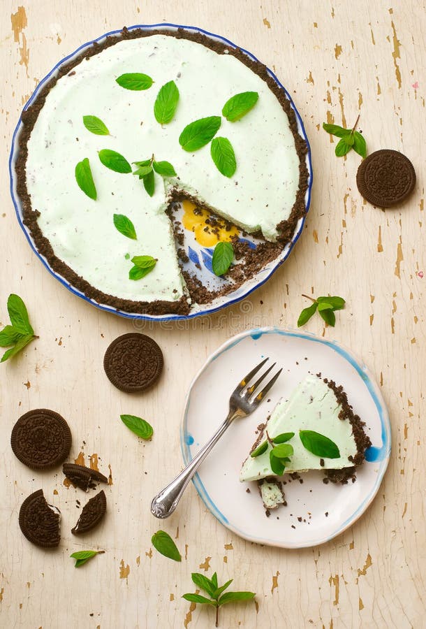 Homemade Chocolate Mint Ice Cream Cake Stock Image Image of fruit, flavor 77931165