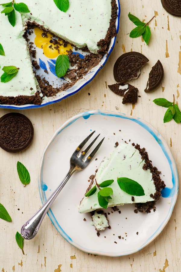 Homemade Chocolate Mint Ice Cream Cake Stock Image Image of milk, frozen 77931177