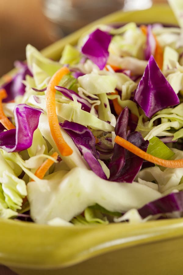 Homemade Coleslaw with Shredded Cabbage and Lettuce Stock Photo Image