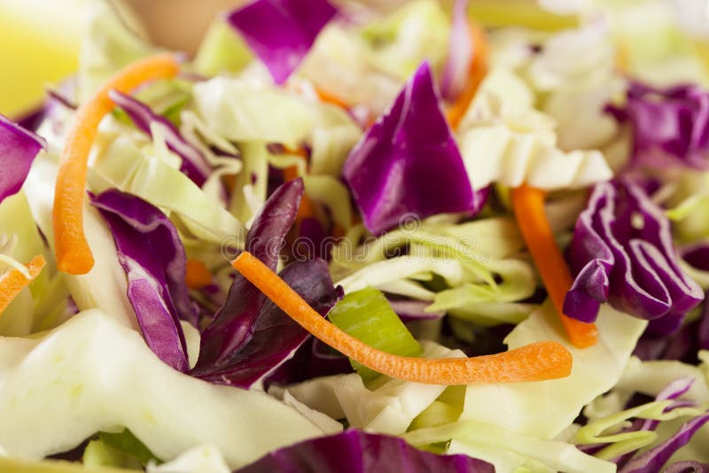 Homemade Coleslaw with Shredded Cabbage and Lettuce Stock Image Image