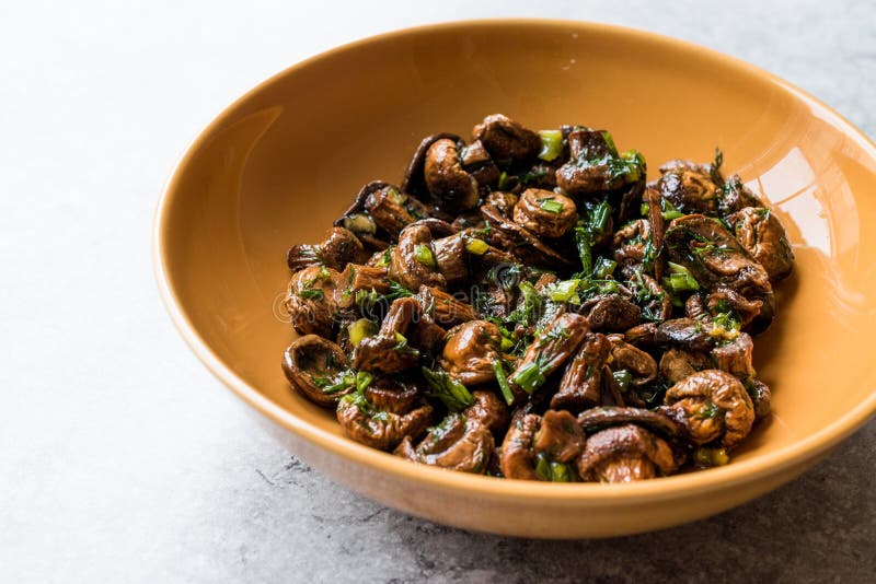 Homemade Cultivated Mushroom Salad with Dill and Green Onions. royalty free stock photos Homemade Cultivated Mushroom Salad with Dill and Green Onions. royalty free stock photos