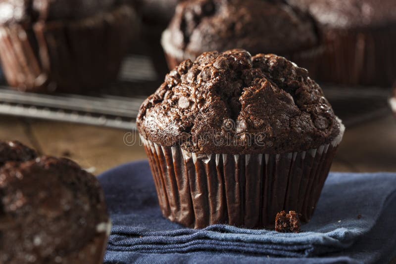 Homemade Dark Chocolate Muffins Stock Image Image of tasty, drink