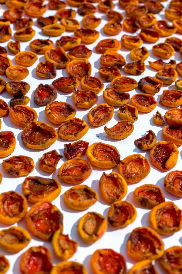 Homemade Dried Apricots. a Sheet with Halves of Apricots. Stock Image