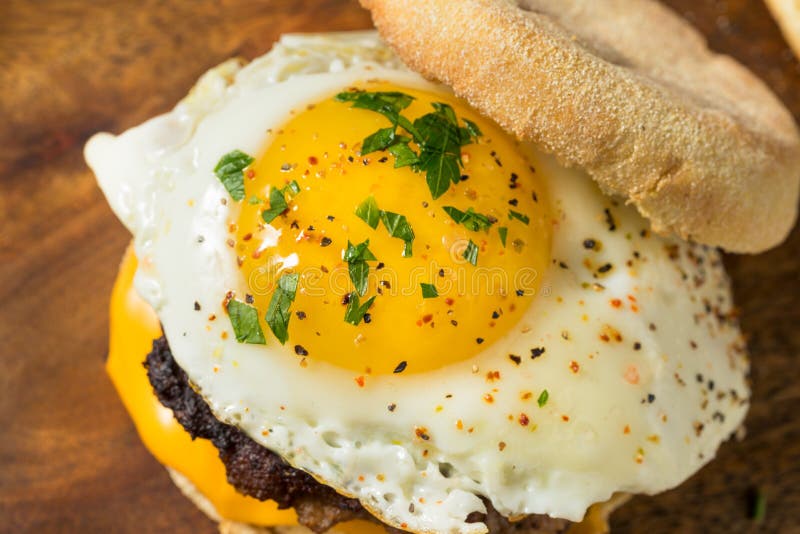 Homemade Egg Sausage Muffin Sandwich Stock Photo Image of tasty