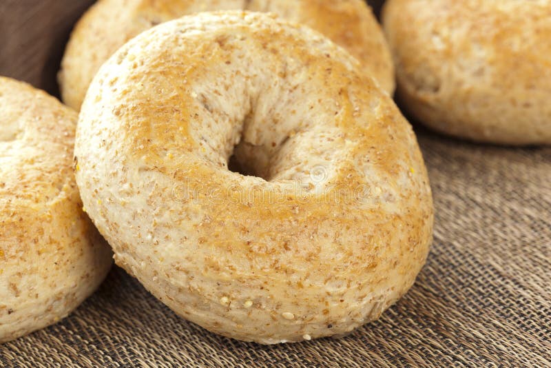 Homemade Fresh Whole Grain Bagel Stock Photo Image of round, seed