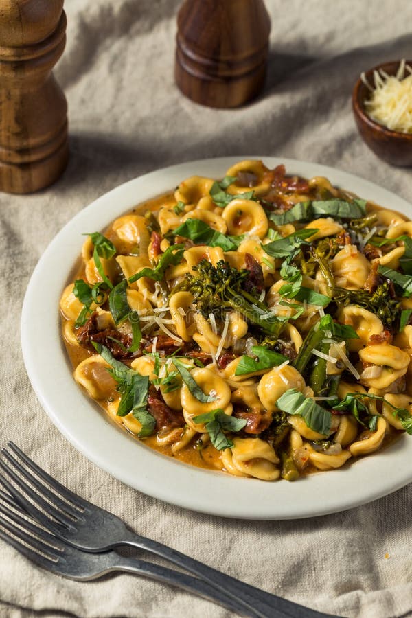 Homemade Italian Orecchiette Pasta Stock Photo Image of healthy