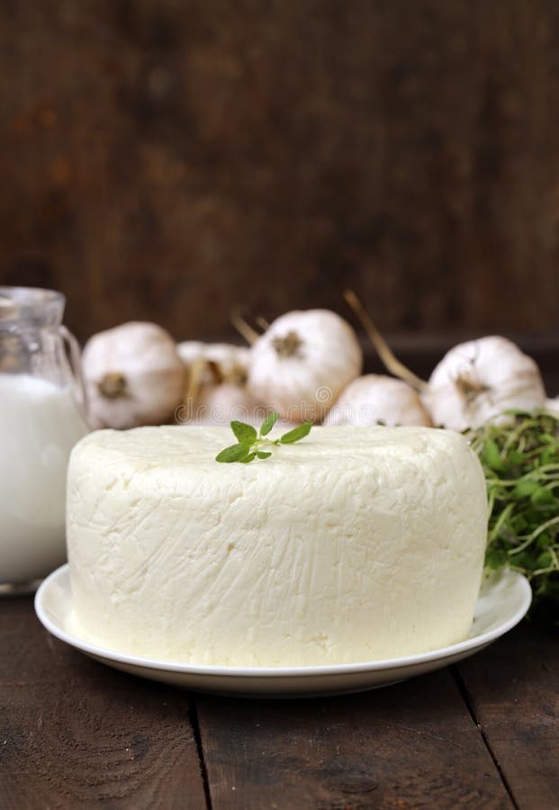 Homemade milk soft cheese stock photo. Image of milk 127267478