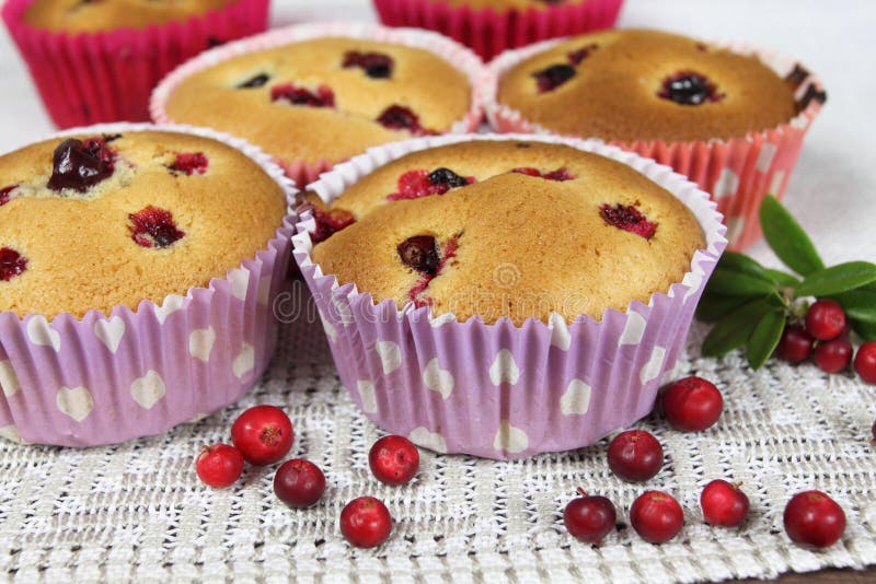 Homemade muffins stock photo. Image of details, nutrition 27849138
