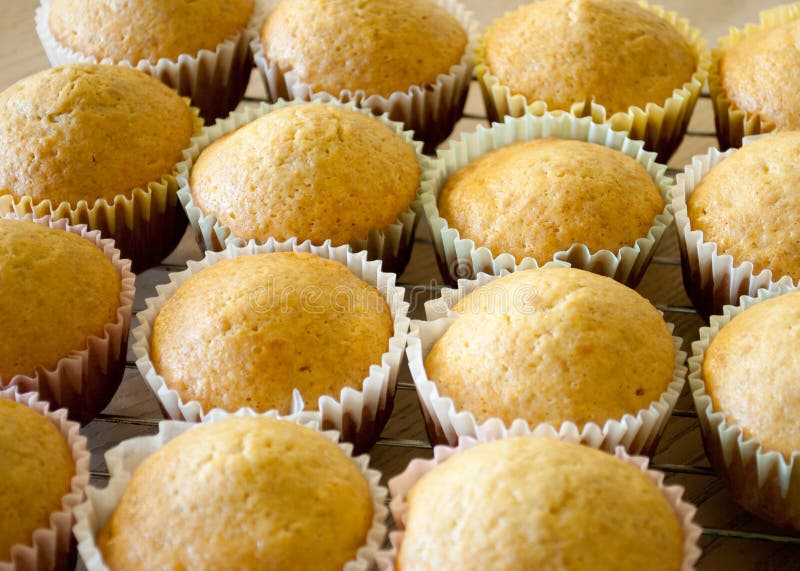 Homemade Muffins Cooling on a Rack Stock Photo Image of warm, frugal