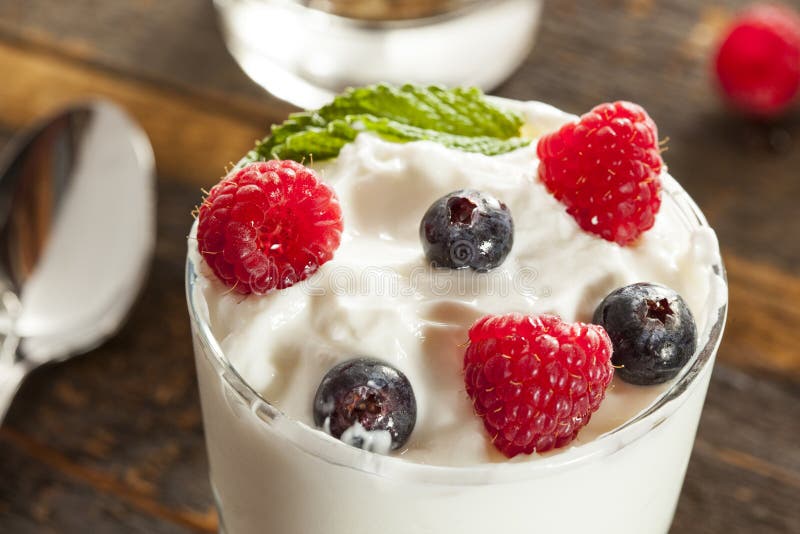 Homemade Organic Fresh Fruit Parfait Stock Photo Image of delicious