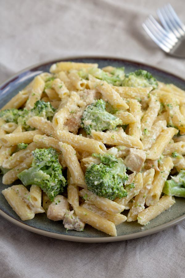 Homemade Penne Alfredo Pasta with Chicken and Broccoli on a Plate, Side