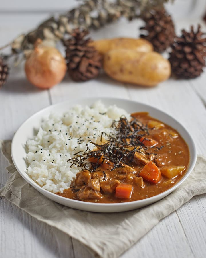 Homemade Pork Curry Japanese Style with Rice Stock Photo - Image of