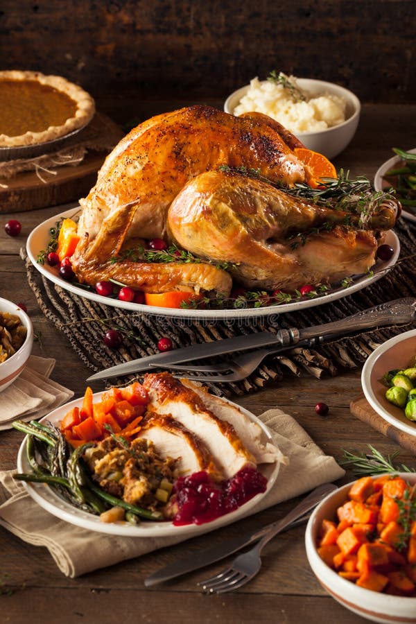 Homemade Roasted Thanksgiving Day Turkey Stock Image - Image of dinner ...