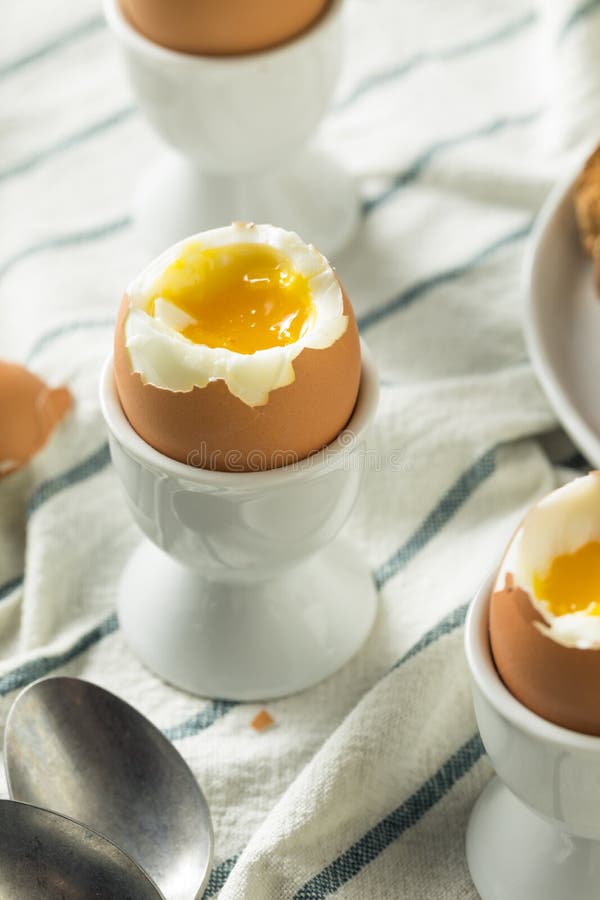 Homemade Soft Boiled Egg in a Cup Stock Photo Image of eggcup