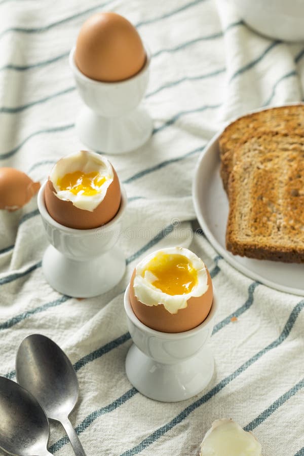 Homemade Soft Boiled Egg in a Cup Stock Photo Image of food