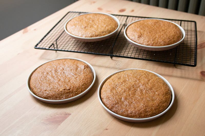 Homemade Sponge Cake Layers Inside Baking Pans Stock Image Image of