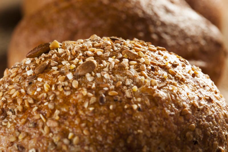 Homemade Whole Grain Dinner Rolls Stock Image Image of baked, bakery