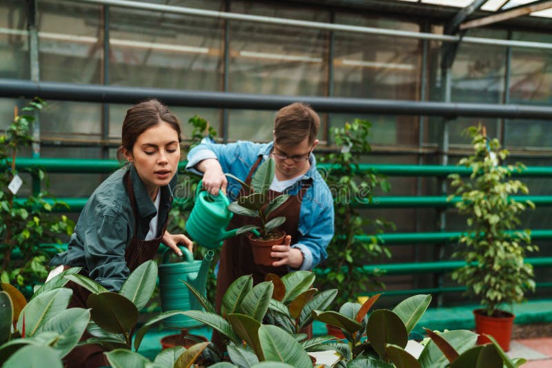 Homme avec le syndrome de down et femme jardinier arroseurs en serre photo libre de droits