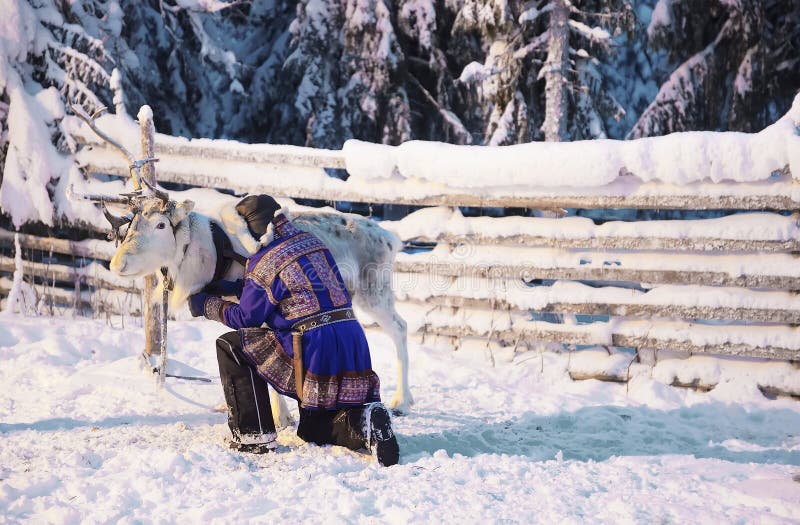 Homme blanc de renne et de Suomi dans Ruka en Laponie en Finlande image stock Homme blanc de renne et de Suomi dans Ruka en Laponie en Finlande image stock