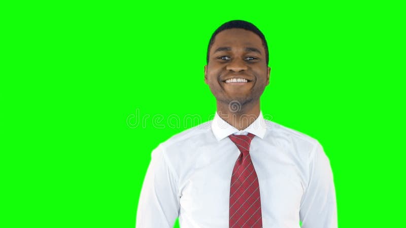 Homme d'affaires de sourire regardant l'appareil-photo banque de vidéos