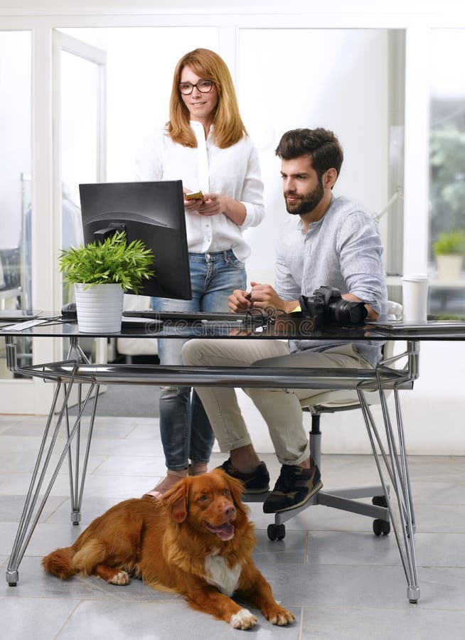 Young art director working at pet-friendly workplace. Handsome businessman bringing his pet to work while sitting at desk in front of computer and working online while consulting with senior editor. Young art director working at pet-friendly workplace. Handsome businessman bringing his pet to work while sitting at desk in front of computer and working online while consulting with senior editor.