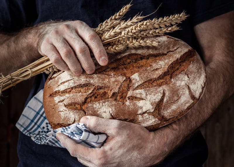 Homme de Baker tenant la miche de pain et le blé rustiques dans des mains