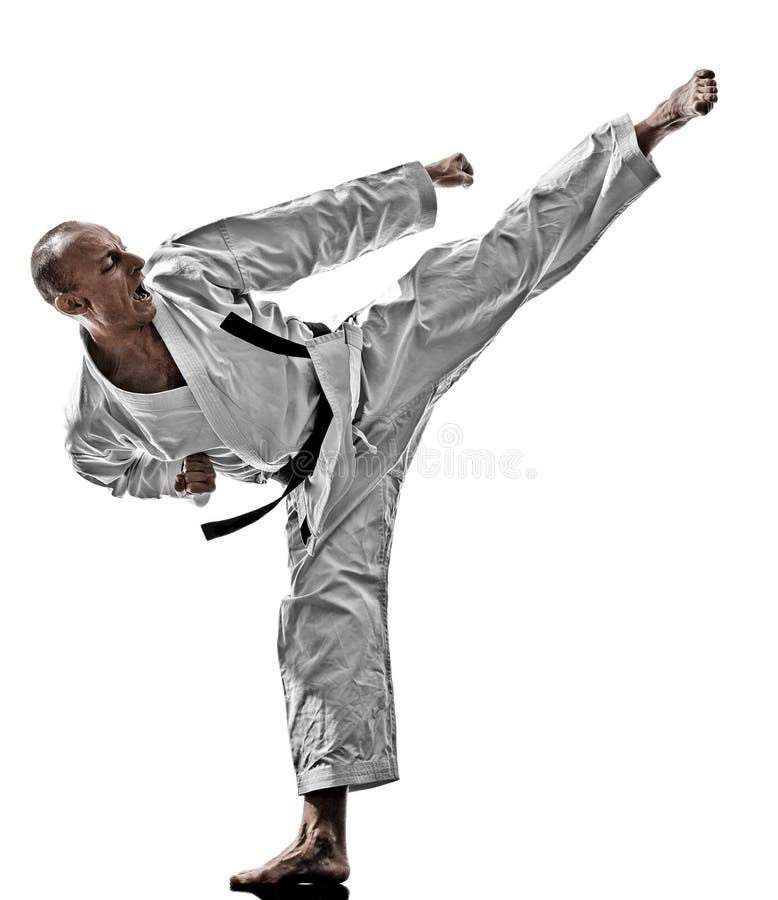 Homme de karaté images libres de droits Homme de karaté images libres de droits