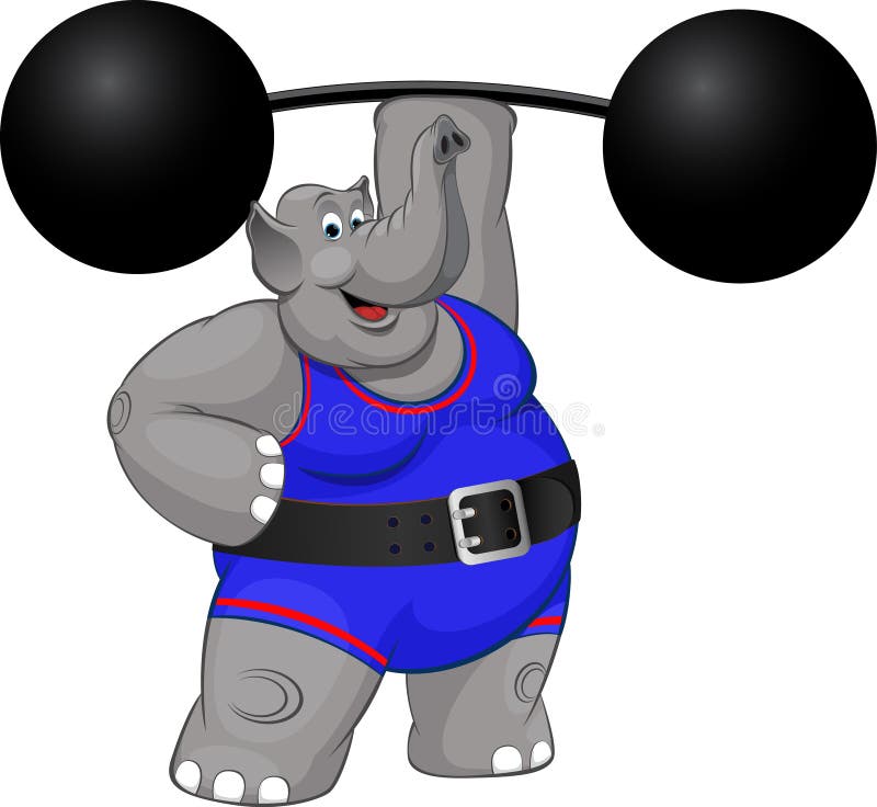 Vector illustration: a strong elephant with a barbell. Vector illustration: a strong elephant with a barbell