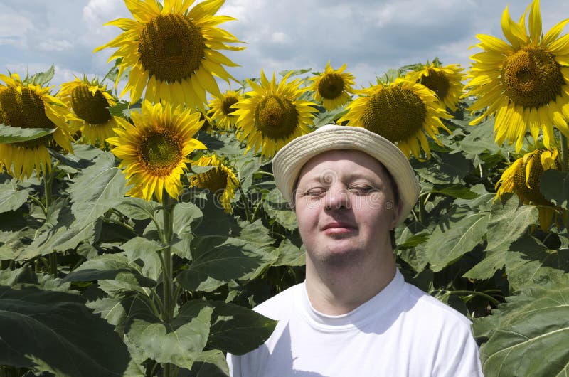 Homme heureux avec le syndrome de doem appréciant le jour ensoleillé dans le domaine de tournesol Heureux et joyeux images libres de droits Homme heureux avec le syndrome de doem appréciant le jour ensoleillé dans le domaine de tournesol Heureux et joyeux images libres de droits