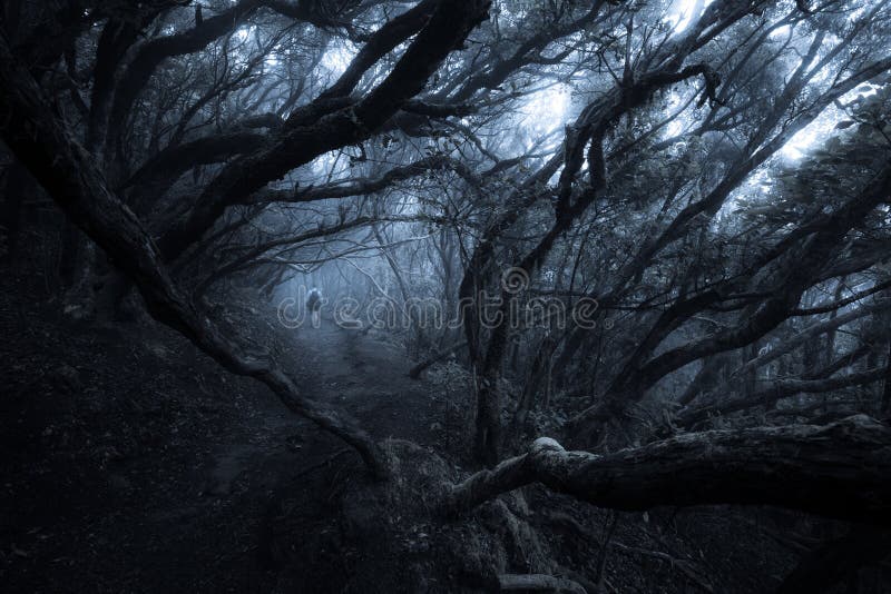 Homme marchant à travers une forêt brumeuse noire