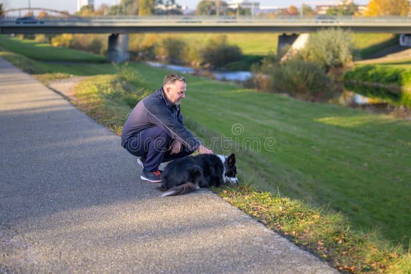 Homme moyen agenouillé vers le bas pour mettre sa frontière collie chien images stock