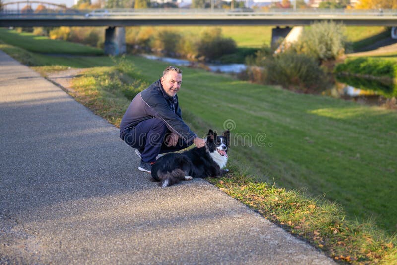 Homme moyen agenouillé vers le bas pour mettre sa frontière collie chien photos stock