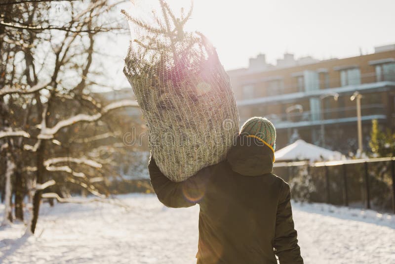 Homme portant un arbre de noël sur les épaules photos libres de droits