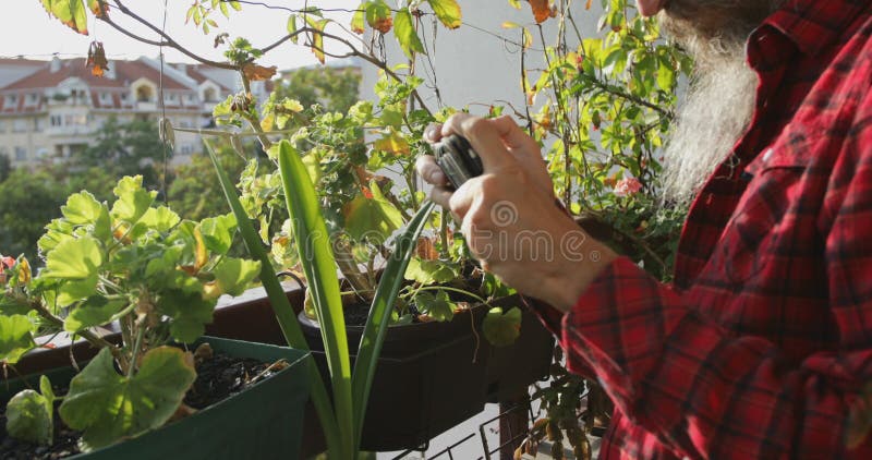 Homme prenant des photos de ses plantes sur la terrasse