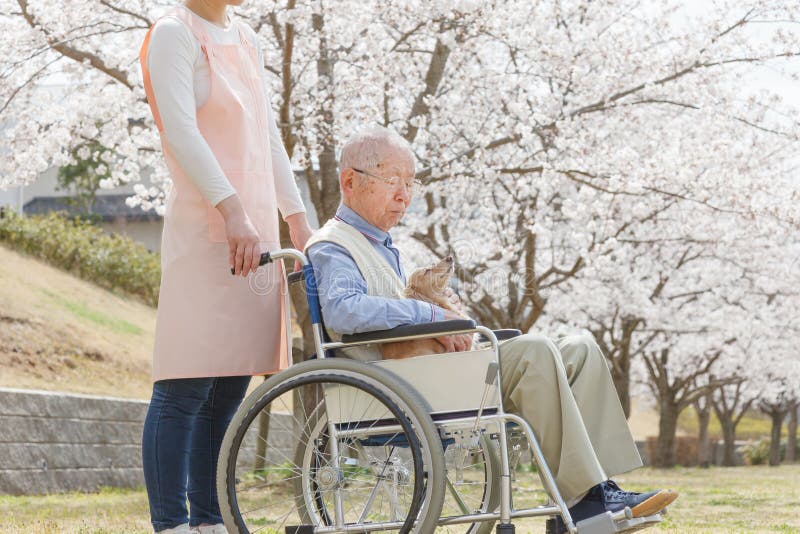 Homme supérieur asiatique s'asseyant sur un fauteuil roulant avec le travailleur social et le chien images stock Homme supérieur asiatique s'asseyant sur un fauteuil roulant avec le travailleur social et le chien images stock
