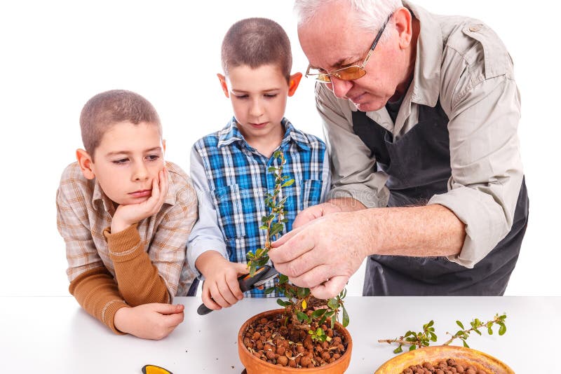 Homme supérieur avec ses petits-enfants photo stock Homme supérieur avec ses petits-enfants photo stock