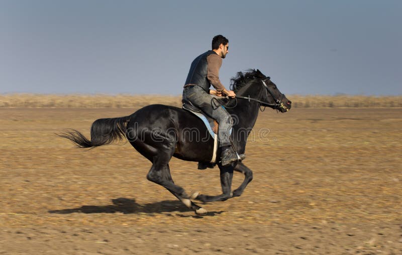 Homme sur le cheval photographie stock libre de droits Homme sur le cheval photographie stock libre de droits