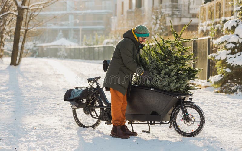 Homme transportant l'arbre de noël sur un vélo cargo images stock