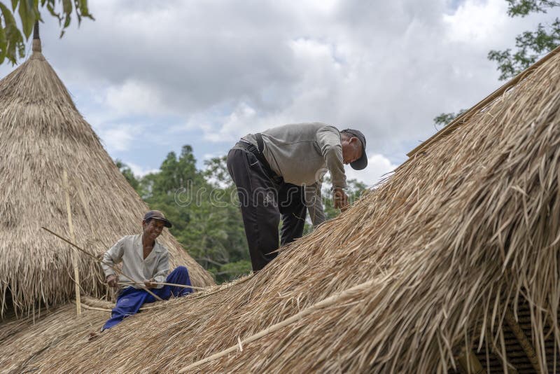 Hommes Locaux Fixant Un Nouveau Toit De Paille Dans Ubud, île Bali,  Indonésie Travailleurs De La Construction Travaillant à Un To Photographie  éditorial - Image du architecture, nature: 153356117