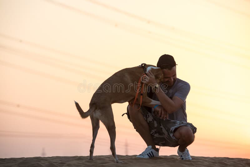 Hond en een persoon uit voor een gang stock afbeelding Hond en een persoon uit voor een gang stock afbeelding