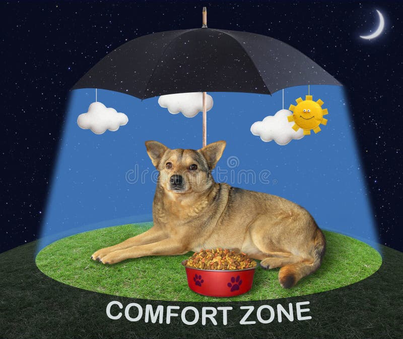 agentschap Materialisme Inpakken Hond onder paraplu stock afbeelding. Image of dier, licht - 171336015