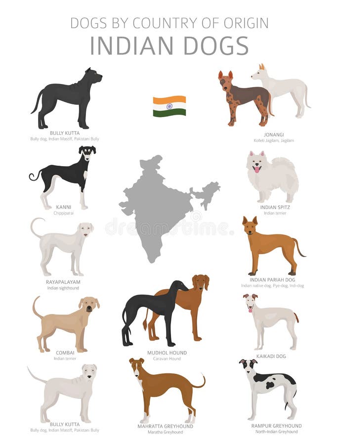 Honden door land van herkomst Indische hondrassen Herders, de jacht, het hoeden, stuk speelgoed, het werk en geplaatste de dienst