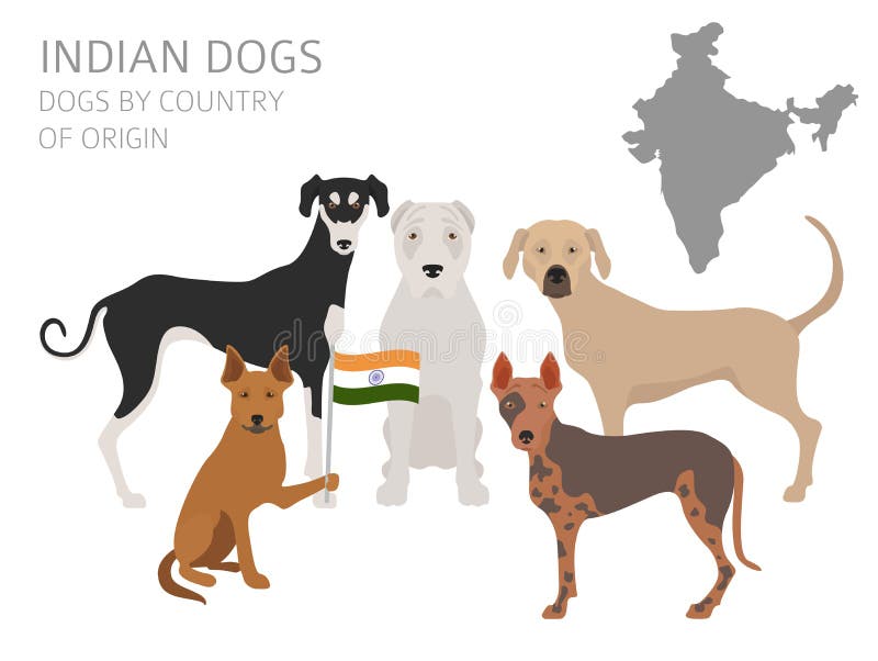 Honden door land van herkomst Indische hondrassen Infographictempla