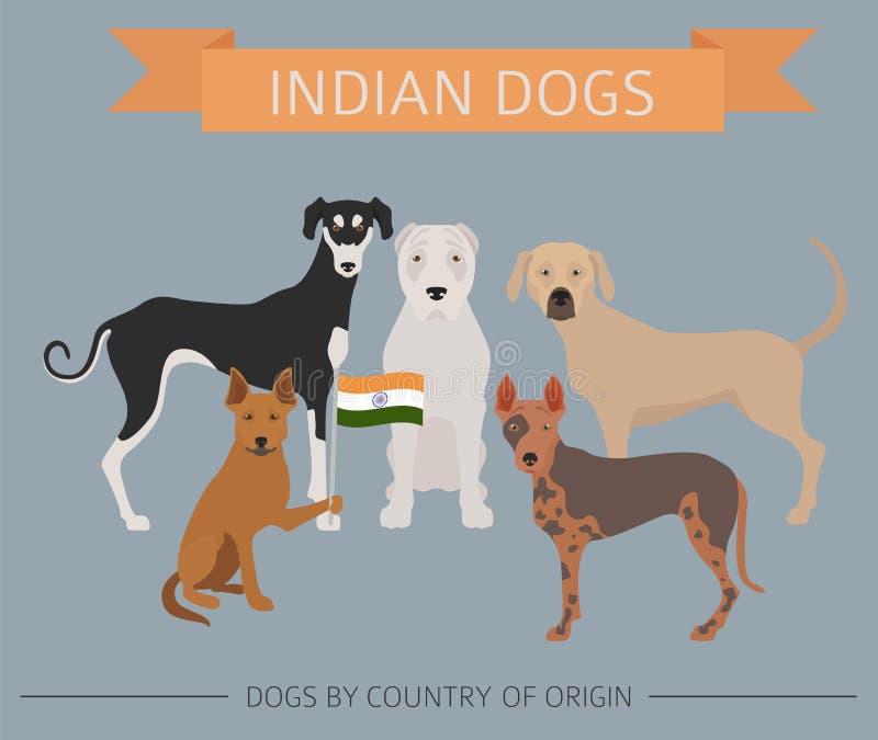 Honden door land van herkomst Indische hondrassen Infographictempla