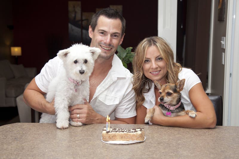 Honden met verjaardagscake royalty-vrije stock afbeeldingen Honden met verjaardagscake royalty-vrije stock afbeeldingen